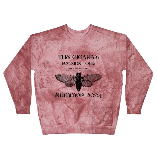 The Cicadas Reunion Summer 2024 Cicada Nature Love Blast Sweatshirts