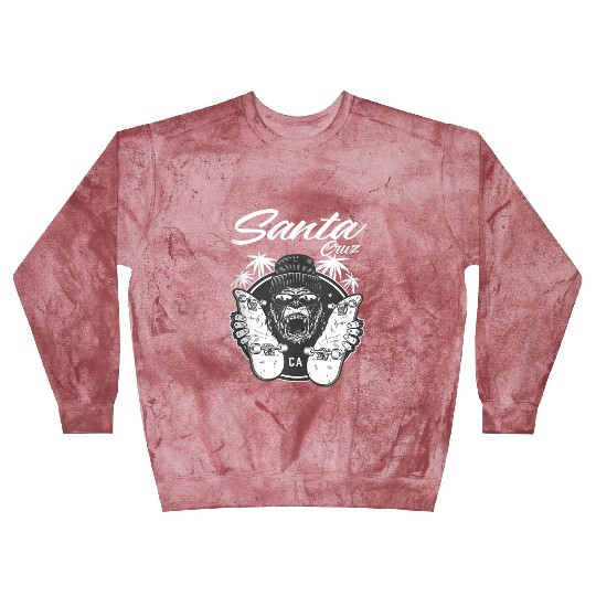SkateBoard Santa Cruz Palm Street Blast Sweatshirts