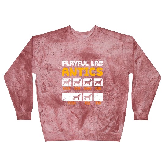 Labrador Owner PLAYFUL LAB ANTICS Funny Blast Sweatshirts