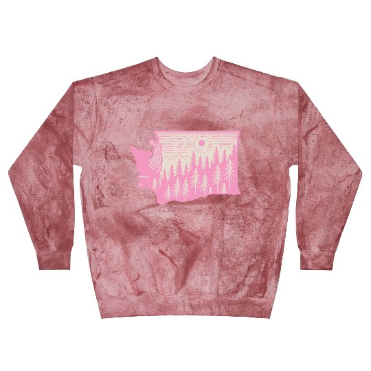 Washington DC Wild Outline State Blast Sweatshirts