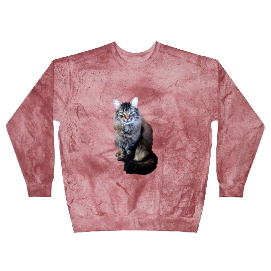 Indie the Cute Cat Blast Sweatshirts