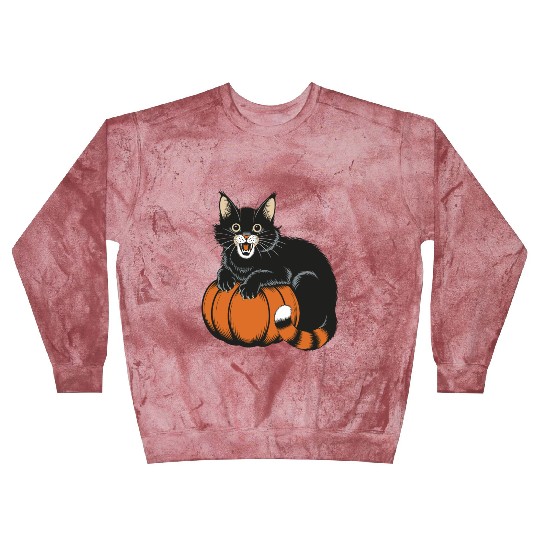 Surprised Halloween Cat With Pumpkin Vintage Style Blast Sweatshirts