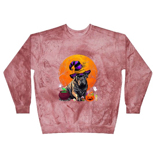 Funny Cane Corso Dog Witch Halloween Dog Lover Blast Sweatshirts
