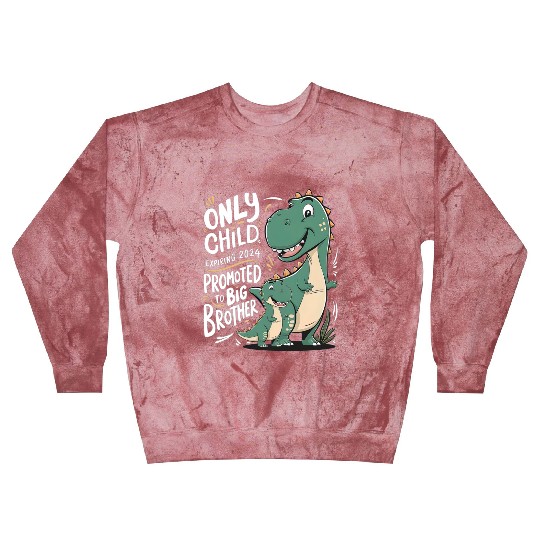 Only Child Expiring 2024 Promoted to Big Brother Blast Sweatshirts