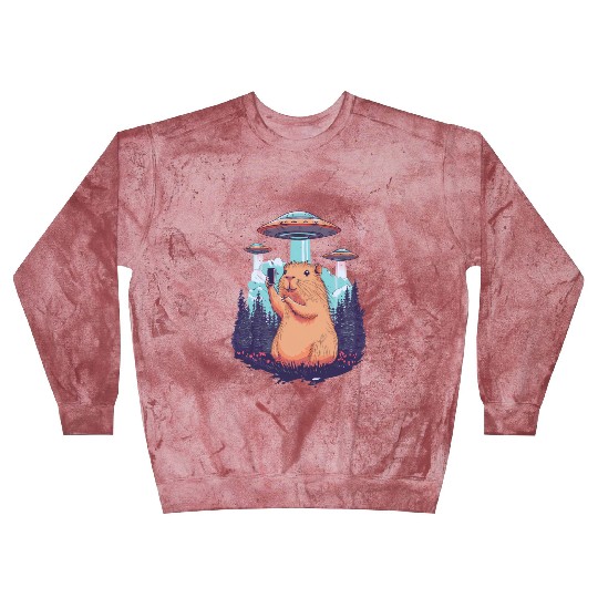 Funny Graphic Blast Sweatshirts Capybara Selfie With Ufos Weird