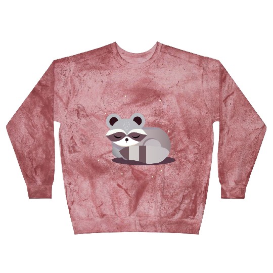 Minimalist raccoon animal illustration Blast Sweatshirts