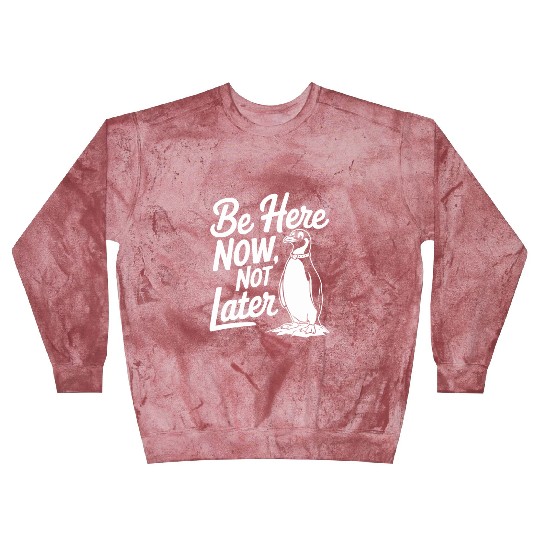 Be Here Now Not Later Mindfulness Penguin Blast Sweatshirts