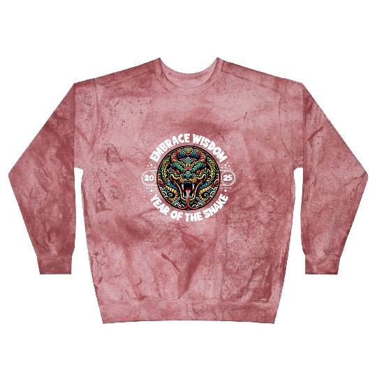 Embrace Wisdom 2025 Year of the Snake Blast Sweatshirts