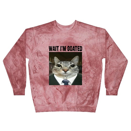 WAIT I'M GOATED Cat Meme Blast Sweatshirts Funny Casual Wear