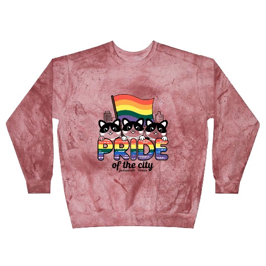 Pride of Jacksonville City Florida USA Rainbow Fla Blast Sweatshirts