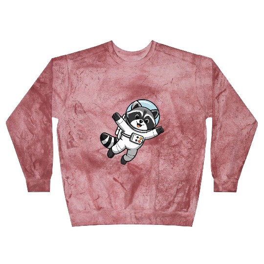 Astro Racoon for Kids Astronaut Blast Sweatshirts