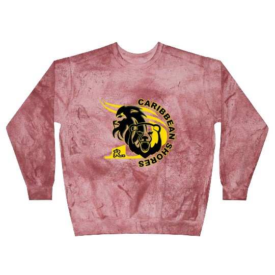 6 Dr lion bear Blast Sweatshirts