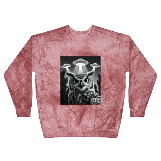 UFO Funny Owl Blast Sweatshirts