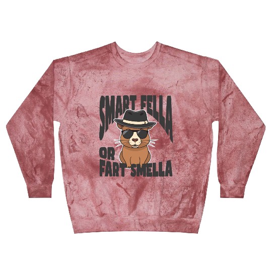 Smart Fella or Fart Smella – Capybara Knows Best Blast Sweatshirts