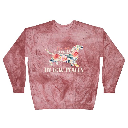 I’ve Got Friends in Low Places – Dachshund Lovers Blast Sweatshirts