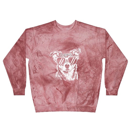 Border Collie Dog Wearing Sunglasses Vintage Pet Blast Sweatshirts