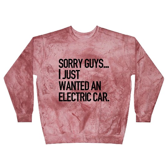 I just wanted an electric car - Anti Elon Musk no Blast Sweatshirts