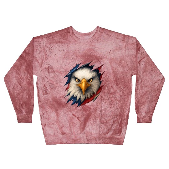 Fierce American Eagle Ripped Design Blast Sweatshirts