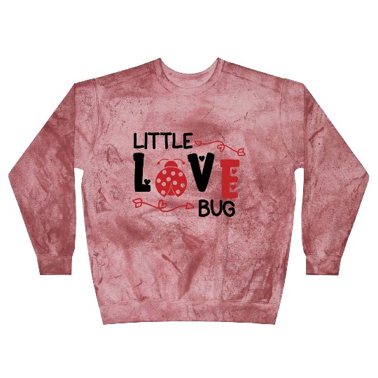 Valentine Little Love Bug Blast Sweatshirts