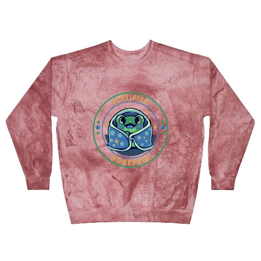 Certified Homebody Blast Sweatshirts