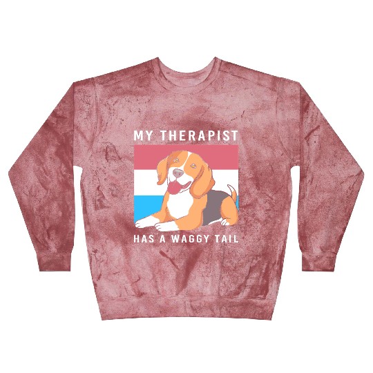 Therapy Dog Lover Psychology Therapist Blast Sweatshirts