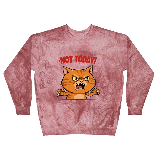 Not Today Angry Cat Blast Sweatshirts | Funny Grumpy Cat Mem