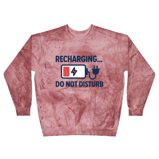 Recharging Do Not Disturb - Introvert	 Blast Sweatshirts