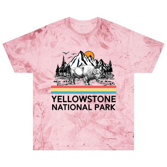 Vintage YStone National Park Blast T Shirts