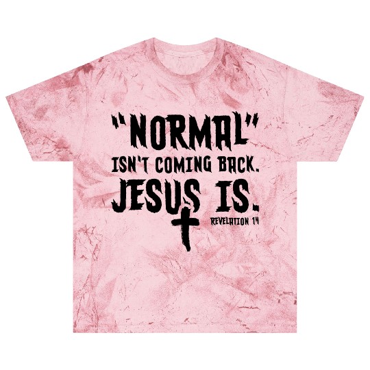 Normal Isn't Coming Back Jesus Is Blast T Shirts
