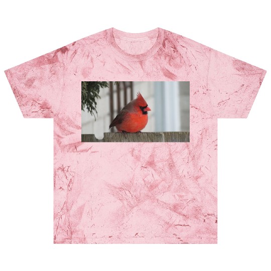 Brilliant Cardinal Bird 2 Blast T Shirts