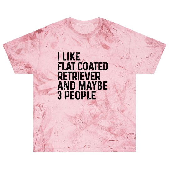 I Like Flat Coated Retriever And Maybe 3 People Blast T Shirts