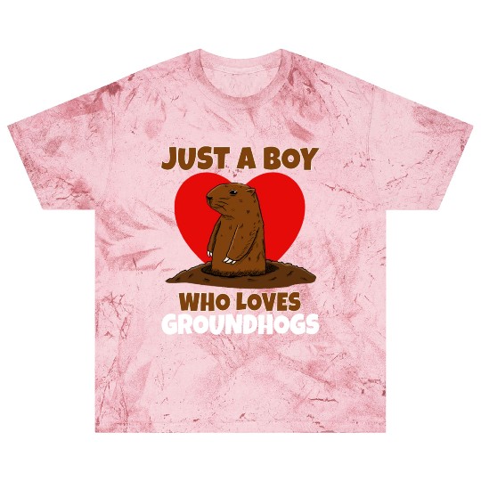 Just A Boy Who Loves Groundhog Blast T Shirts
