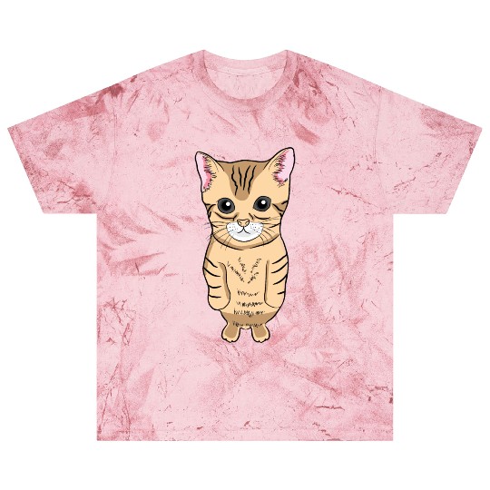 Cute Standing Cat Meme Cute Kitten Standing on Two Blast T Shirts