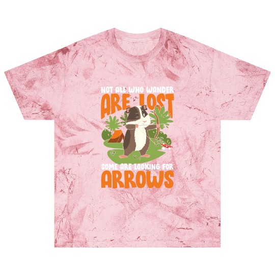 Not All Who Wander Are Lost Some Are Looking For Blast T Shirts