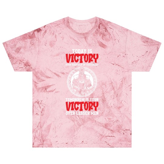 Samurai Aikido Jiujitsu Blast T Shirts