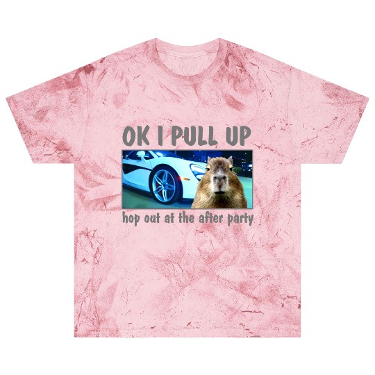 Ok I Pull Up Capybara Meme After Party Rap Song ar Blast T Shirts