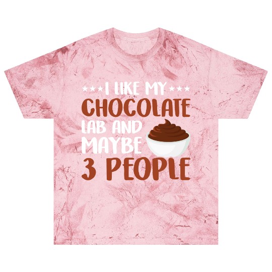 I Like My Chocolate Lab And Maybe 3 People Blast T Shirts