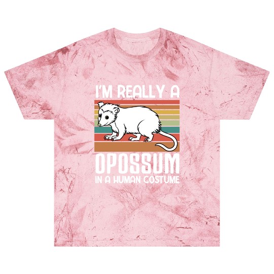i m really a Opossum in a human funny Opossum Blast T Shirts