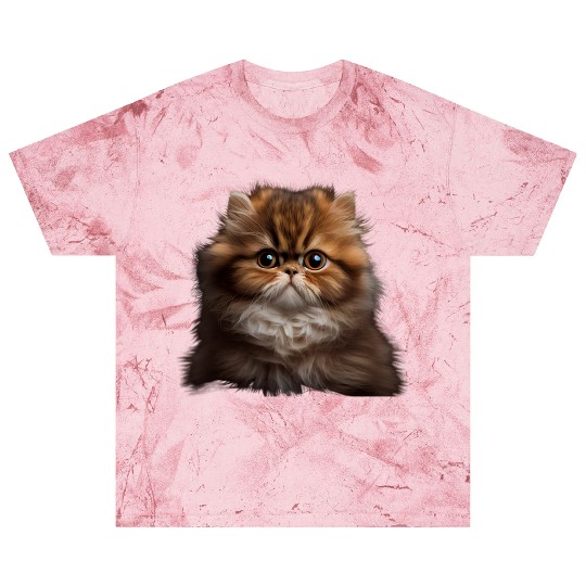 Persian Cat - A Sweet Gift Idea For All Cat Blast T Shirts