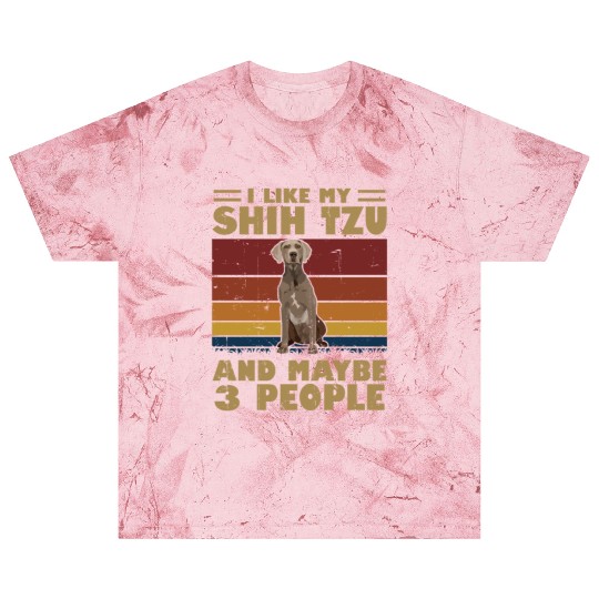 I Like My Schnauzer And Maybe 3 People Blast T Shirts