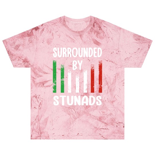 Surrounded By Stunads Italian Pride Italy Flag Blast T Shirts