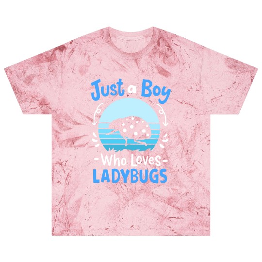 Ladybug Insect Ladybug Lover Retro Blast T Shirts