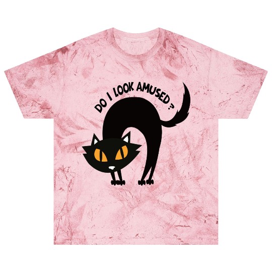 do I look amused? cute cat , funny cat,angry cat Blast T Shirts