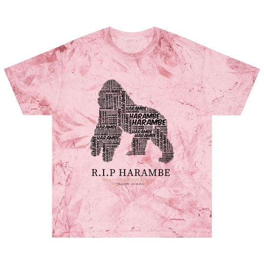 R.I.P Harambe Blast T Shirts