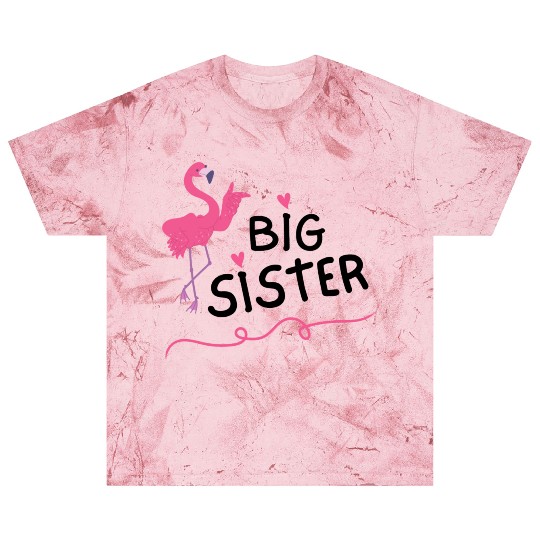 Big Sister Little Brother Matching Outfits Toddler Blast T Shirts