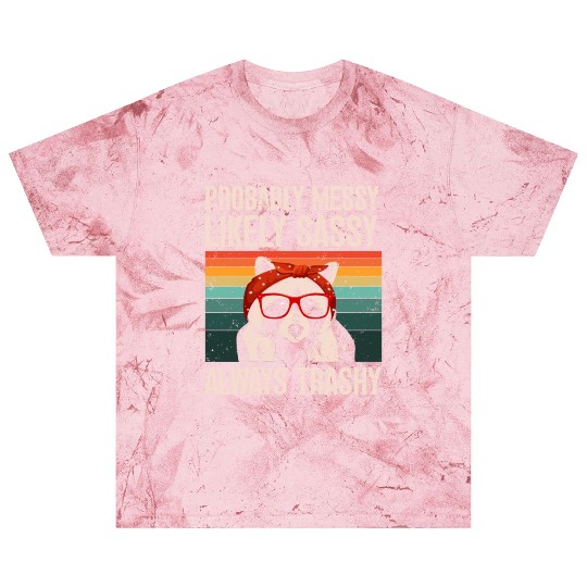 Funny Raccoons Trash Panda Racoon Lovers Blast T Shirts