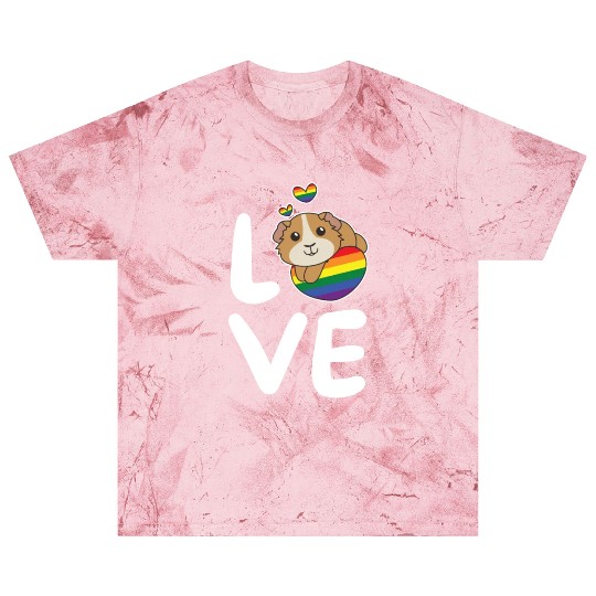 Rainbow Flag Pride Lgbtq Cute Guinea Pig Love Blast T Shirts