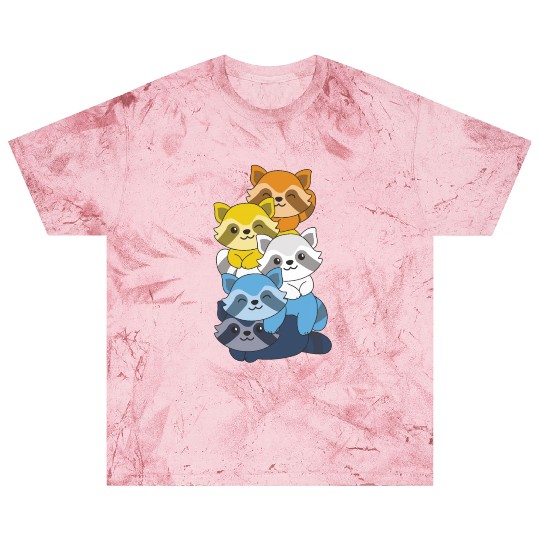 Aroace Flag Pride Lgbtq Cute Raccoon Stack Blast T Shirts