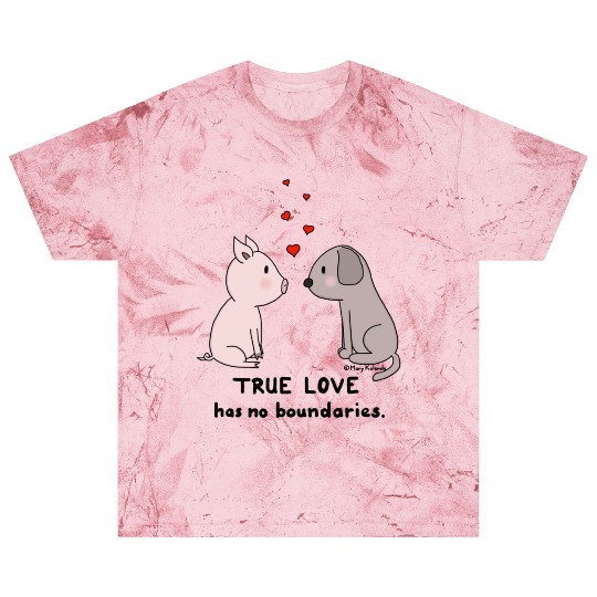 True Love has No Boundaries Blast T Shirts