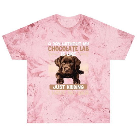 Labrador Owner A DAY WITHOUT MY CHOCOLATE LAB Blast T Shirts